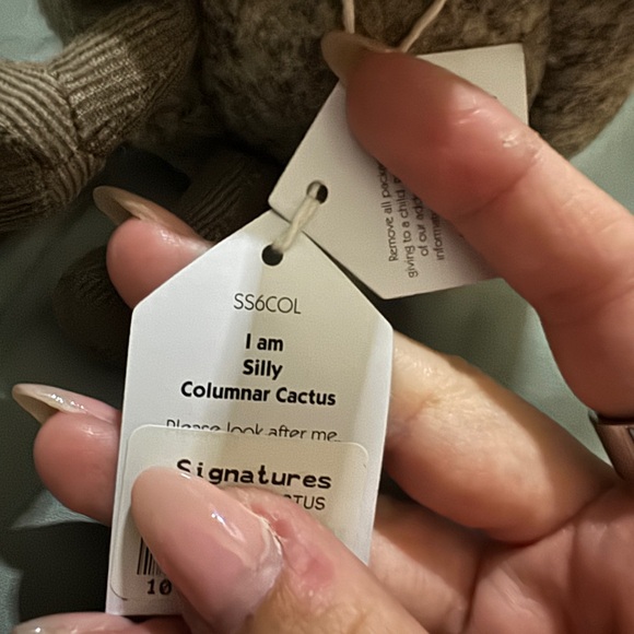 Silly cactus jellycat - Picture 5 of 5